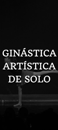 Ginstica Artstica